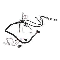 Holley EFI - Holley EFI 558-138 Fuel Injection Harness - Image 2