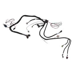 Holley EFI - Holley EFI 558-138 Fuel Injection Harness - Image 3