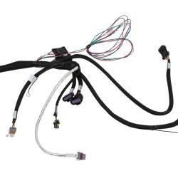 Holley EFI - Holley EFI 558-138 Fuel Injection Harness - Image 5