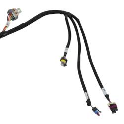 Holley EFI - Holley EFI 558-138 Fuel Injection Harness - Image 6