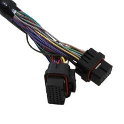 Holley EFI - Holley EFI 558-138 Fuel Injection Harness - Image 7
