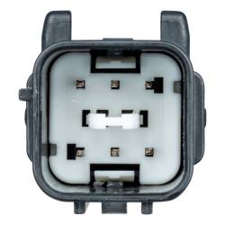 CURT - CURT 56562 Custom Wiring Harness 4-Way Flat Output for Select Kia K4/K5 - Image 2