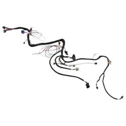 Holley EFI - Holley EFI 558-137 Fuel Injection Wiring Harness - Image 3