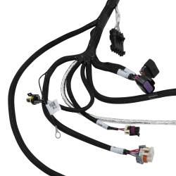 Holley EFI - Holley EFI 558-137 Fuel Injection Wiring Harness - Image 6