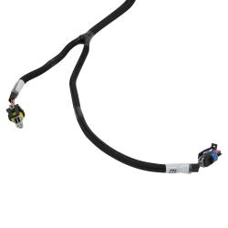 Holley EFI - Holley EFI 558-137 Fuel Injection Wiring Harness - Image 7