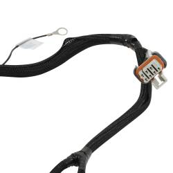 Holley EFI - Holley EFI 558-137 Fuel Injection Wiring Harness - Image 9