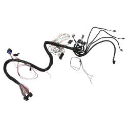Holley EFI - Holley EFI 558-139 Fuel Injection Wiring Harness - Image 2
