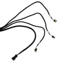 Holley EFI - Holley EFI 558-139 Fuel Injection Wiring Harness - Image 5