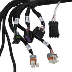 Holley EFI - Holley EFI 558-139 Fuel Injection Wiring Harness - Image 6