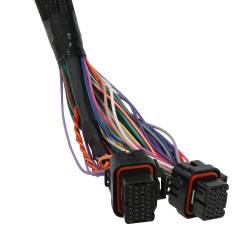 Holley EFI - Holley EFI 558-139 Fuel Injection Wiring Harness - Image 7