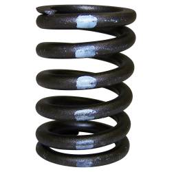 Crown Automotive Jeep Replacement - Crown Automotive J3228192 Valve Spring - Image 1