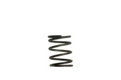 Turbosmart - Turbosmart TS-0505-2002 WG38/40/45 2011 Spring - Image 1