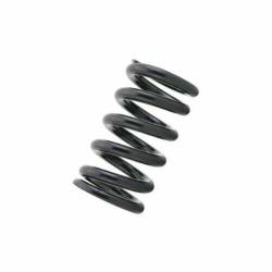 TEIN - TEIN SC060-01250 Standardized Spring Straight C06 - Image 1