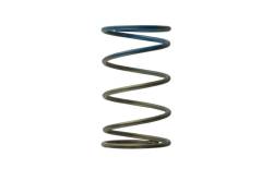 Turbosmart - Turbosmart TS-0505-2005 2011 WG38/40/45 10-PSI Outer Brown/Blue Spring - Image 1