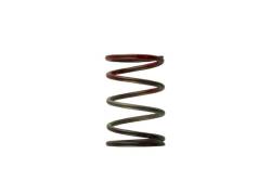 Turbosmart - Turbosmart TS-0505-2004 2011 WG38/40/45 11-PSI Middle Spring Brown/Red - Image 1