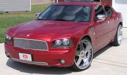 APS - APS Wire Mesh Grille Polish for 05-10 Dodge Charger GR04GEC20S - Image 1