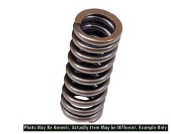 BLOX - BLOX Racing BXPT-20301 Valve Springs for D-Series SOHC VTEC - Image 1