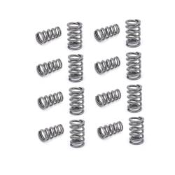 COMP Cams - COMP Cams 26975-16 Dual Valve Springs 1.560" OD 500lb/in 16Pc for Ford/GM SB - Image 1