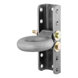 CURT - CURT 48640 Adjustable Lunette Ring 12000 lbs 3" Eye 11-3/4" Channel Height - Image 1