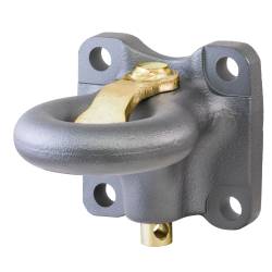 CURT - CURT 48661 SecureLatch Lunette Ring - Image 1