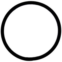 Crown Automotive Jeep Replacement - Crown Automotive 4446544 Accumulator Piston Seal - Image 2
