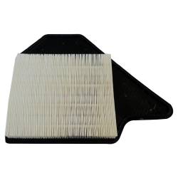 Crown Automotive Jeep Replacement - Crown Automotive 4861737AA Air Filter for 11-14 Grand Caravan Town & Country - Image 1
