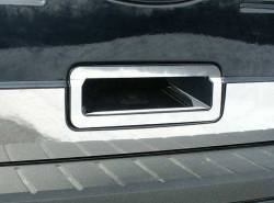 Quality Automotive DH49340 Door Handle Cover 09-14 Ford Flex