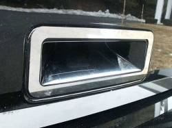 Quality Automotive DH47610 Door Handle Cover 07-11 Lincoln MKX