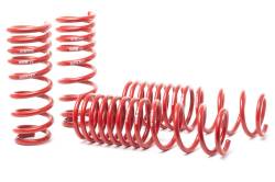 H&R Special Springs LP - H&R 50104-88 Race Spring 2004-2008 Acura TL - Image 1