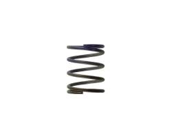 Turbosmart - Turbosmart TS-0505-2003 2011 WG38/4045 7-PSI Middle Spring Brown/Purple - Image 1