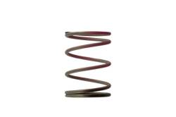 Turbosmart - Turbosmart TS-0505-2006 2011 WG38/40/45 7-PSI Outer Spring Brown/Pink - Image 1