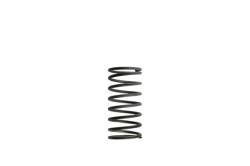Turbosmart - Turbosmart TS-0502-2001 WG50/WG60 Spring 5Psi Black/Gray - Image 1