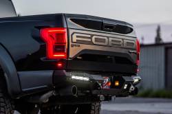 Addictive Desert Designs - Addictive Desert Designs R117321430103 HoneyBadger Rear Bumper for 17-20 F150 - Image 4