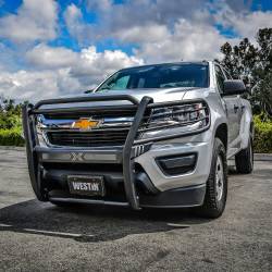 Westin - Westin 40-33845 Grille Guard for 15-22 Colorado Exc Bison & ZR2 - Image 2