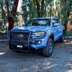 Westin - Westin 40-33885 Sportsman x Grille Guard for 16-23 Toyota Tacoma - Image 2