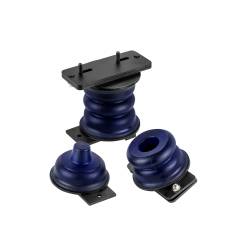 SuperSprings - SuperSprings SSR-315-40-2 SumoSprings for 14-24 2500 - Image 1