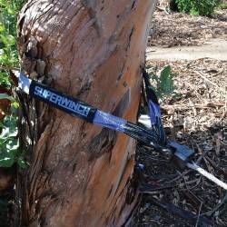Superwinch - Superwinch 2588 Tree Trunk Protector - Image 2