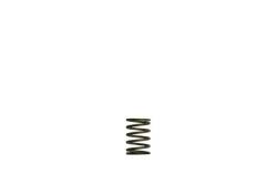 Turbosmart - Turbosmart TS-0550-3081 Gen-V WG38/40 3-PSI Black Inner Spring - Image 1