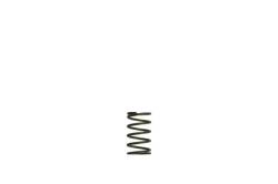 Turbosmart - Turbosmart TS-0550-3082 Gen-V WG38/40 5-PSI Grey Inner Spring - Image 1