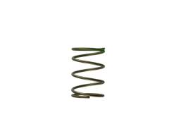 Turbosmart - Turbosmart TS-0550-3087 Gen-V WG45/50 Spring Green Middle Suit 7Psi - Image 1