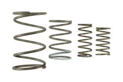 Turbosmart - Turbosmart TS-0550-3152 GenV WG60 Spring Replacement Kit - Image 1