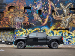 Body Armor 4x4 - Body Armor GM-4200 Ambush Series Nerf Steps Black Silverado/Sierra Crew - Image 2