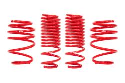 Eibach - Eibach E20-40-036-03-22 Springs Kit 4Pc Set for Honda Civic Sportline - Image 1