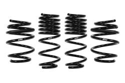 Eibach - Eibach E10-40-036-03-22 4PC Springs - Image 1