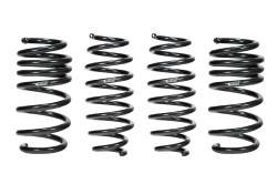 Eibach - Eibach E10-87-001-01-22 Springs for Tesla Model 3 PRO-KIT EV 4PC Set - Image 1