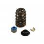 COMP Cams - COMP Cams 26906VCS-KIT Springs GM L31 VORTEC HEAD .51" MAX LIFT FLAT TAPPET - Image 2