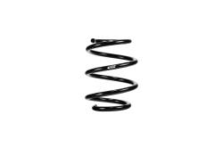Eibach - Eibach E10-20-049-09-22 PRO-KIT Springs for BMW M4 4PC Set - Image 2