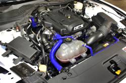 HPS Performance - HPS 57-1452-BLUE Blue Radiator/Heater Coolant Hose Kit for 15-20 Ford Mustang - Image 2