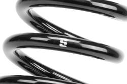 Eibach - Eibach R10009 Single Rear Spring - Image 2