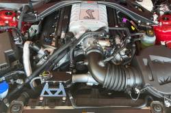 RADIUM Engineering - RADIUM Engineering 20-0286 Coolant Tank Kit 15-23 Ford Mustang - Image 2